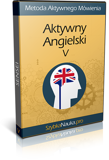 Aktywny Angielski Sensei 3D - DVD004