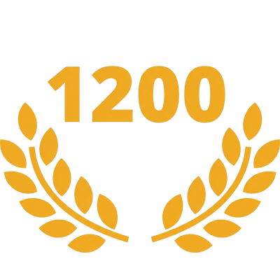 1200-slow-najczestszych-yellow-web